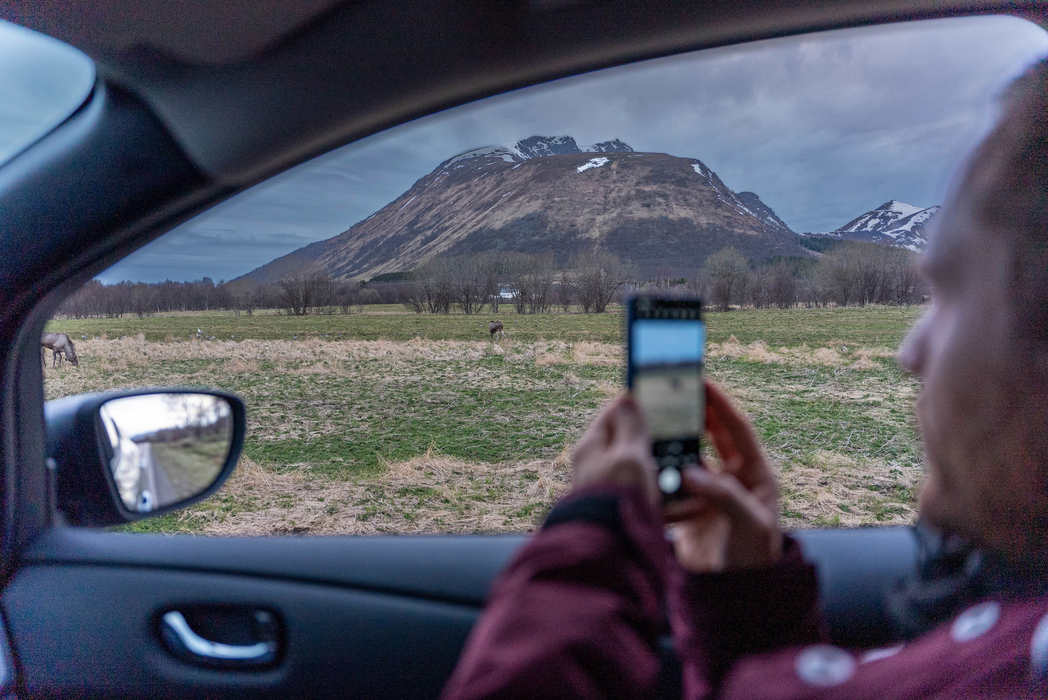 Moose safari with Arctic North Adventures