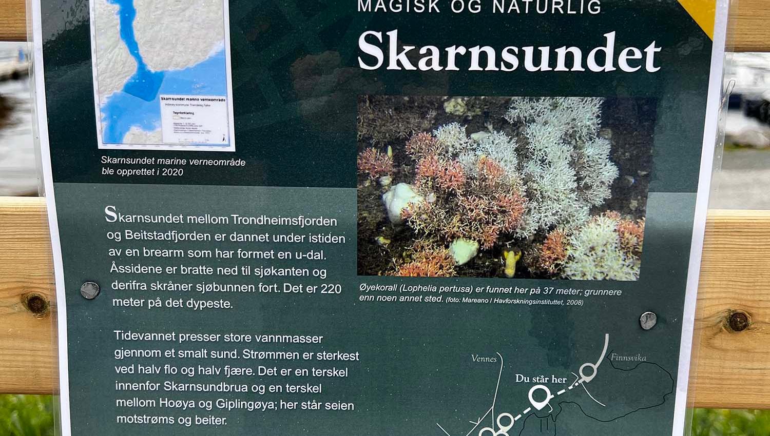 Kulturminnevandringen Selsethvika/Venneshamn