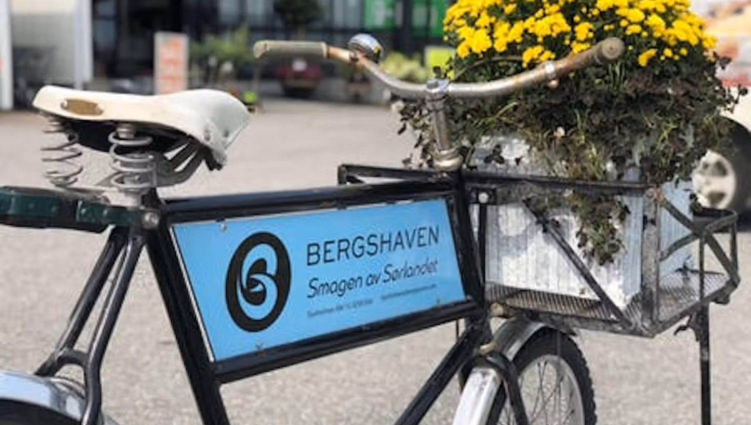Bergshaven sykkel