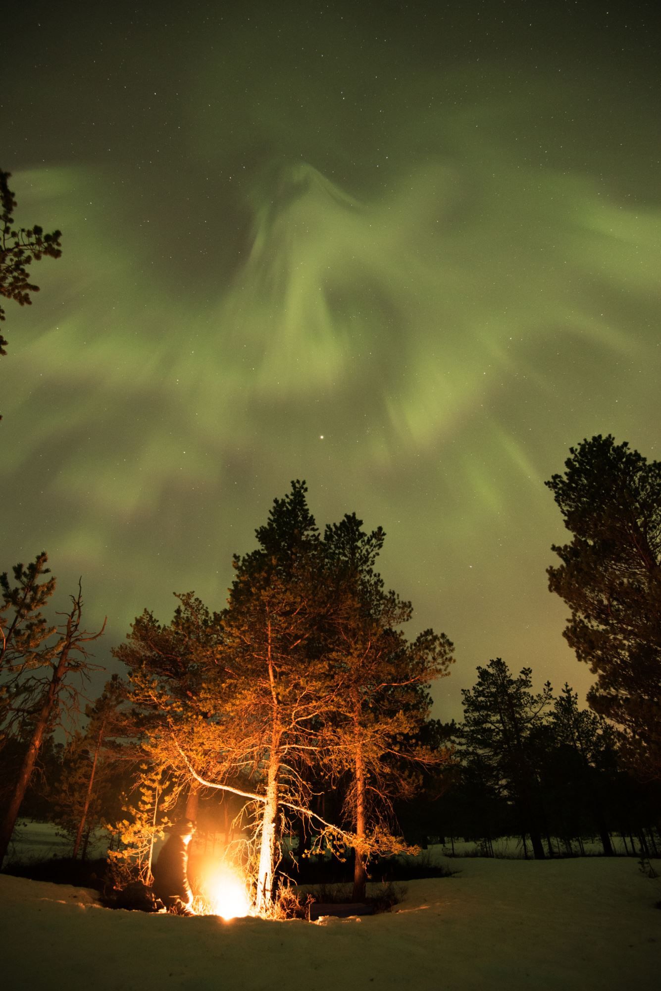 Aurora Borealis