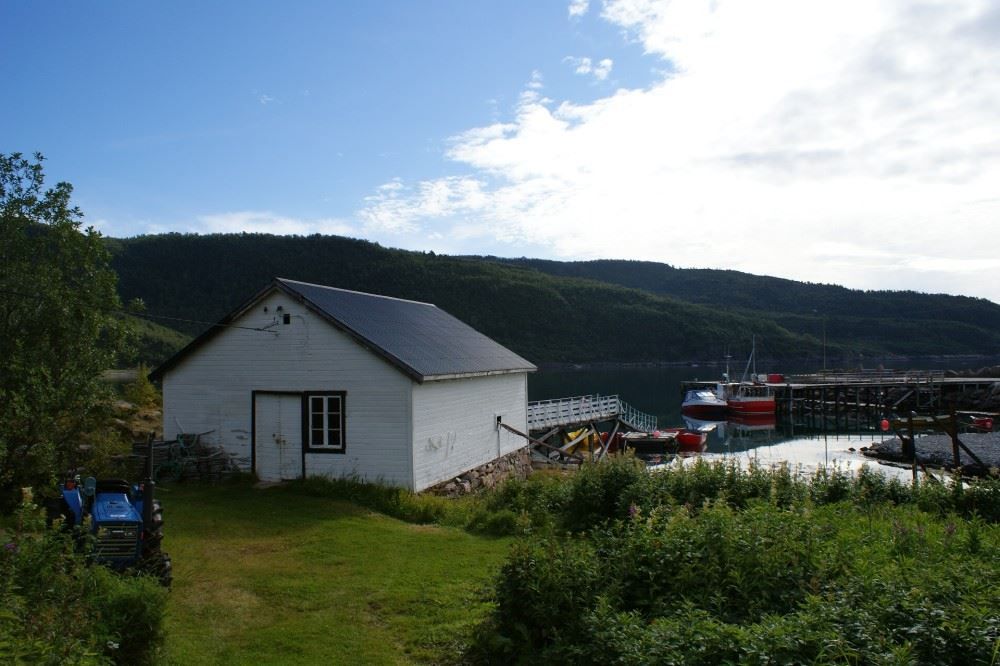 view of the garden