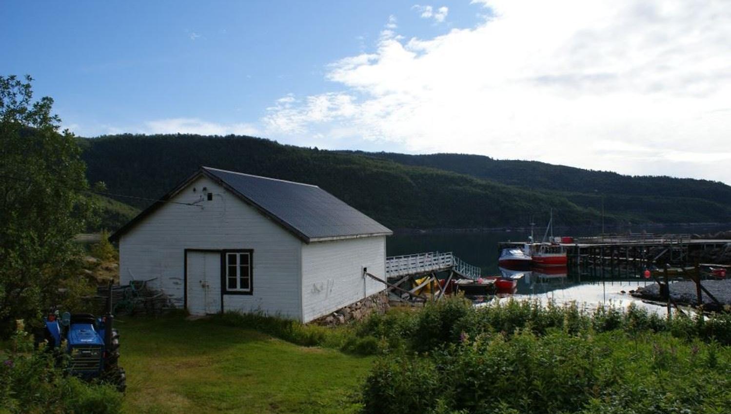 view of the garden