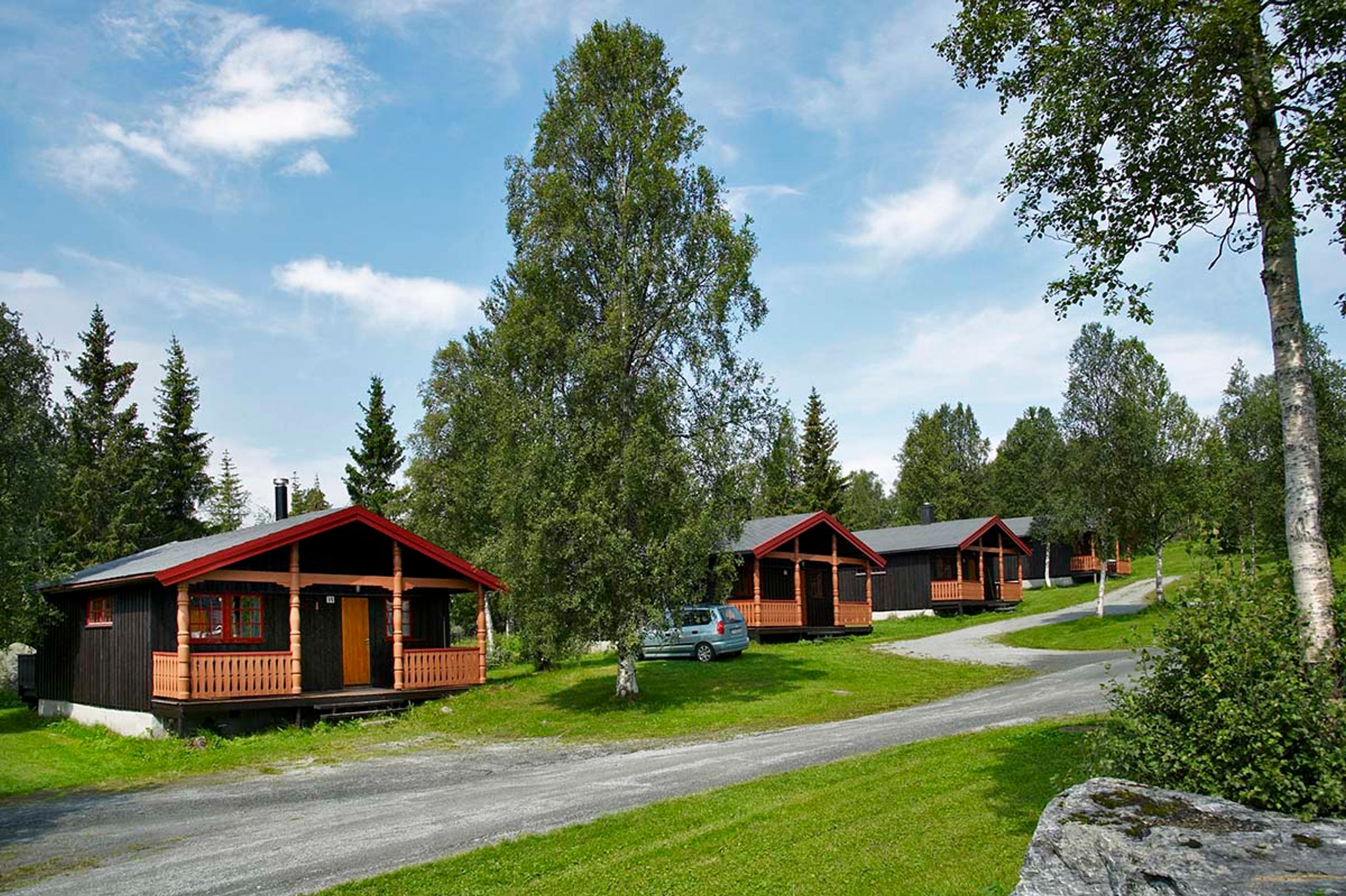 Knuts Hyttegrend, Beitostølen, Valdres, Norway 