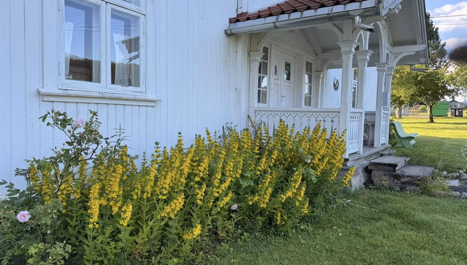Sagstua skolemuseum