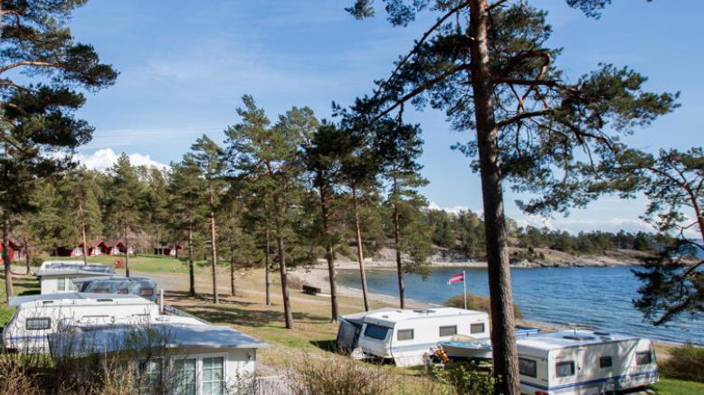 Camping cars parked at site under the  pine trees  - Sea view and beach