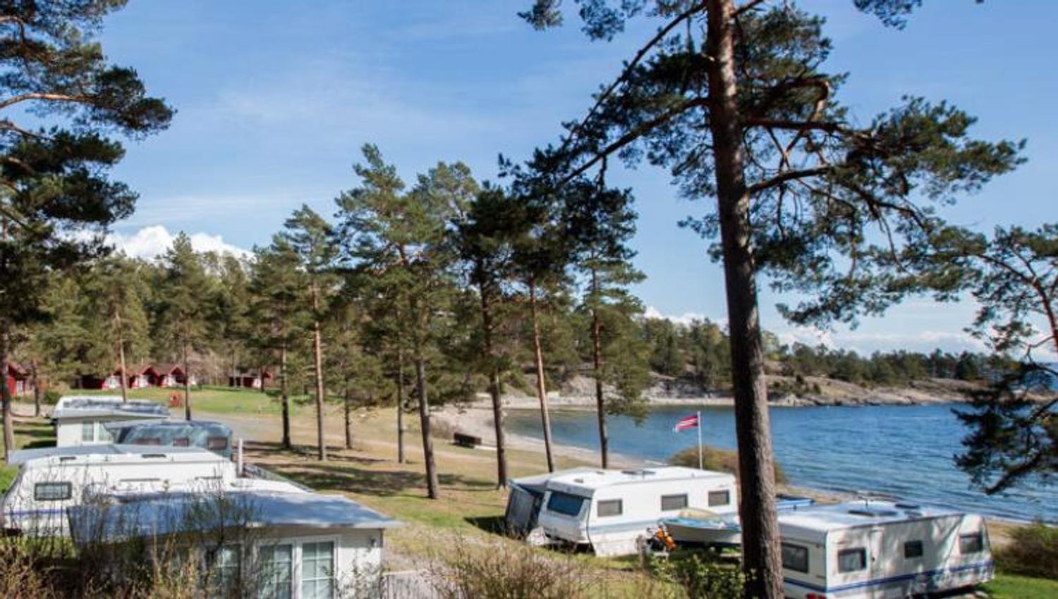Camping cars parked at site under the pine trees - Sea view and beach