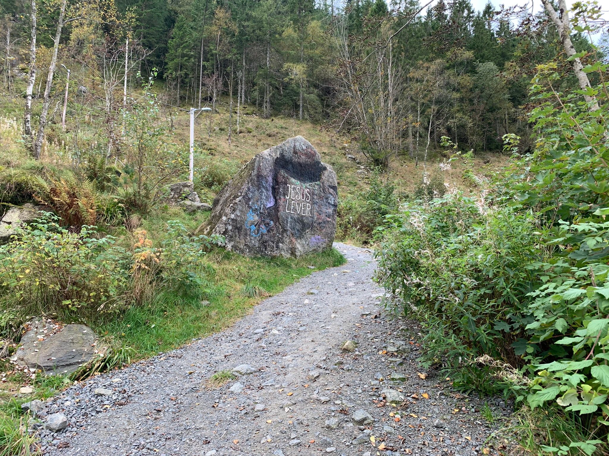 The landmark "Jesus lever"