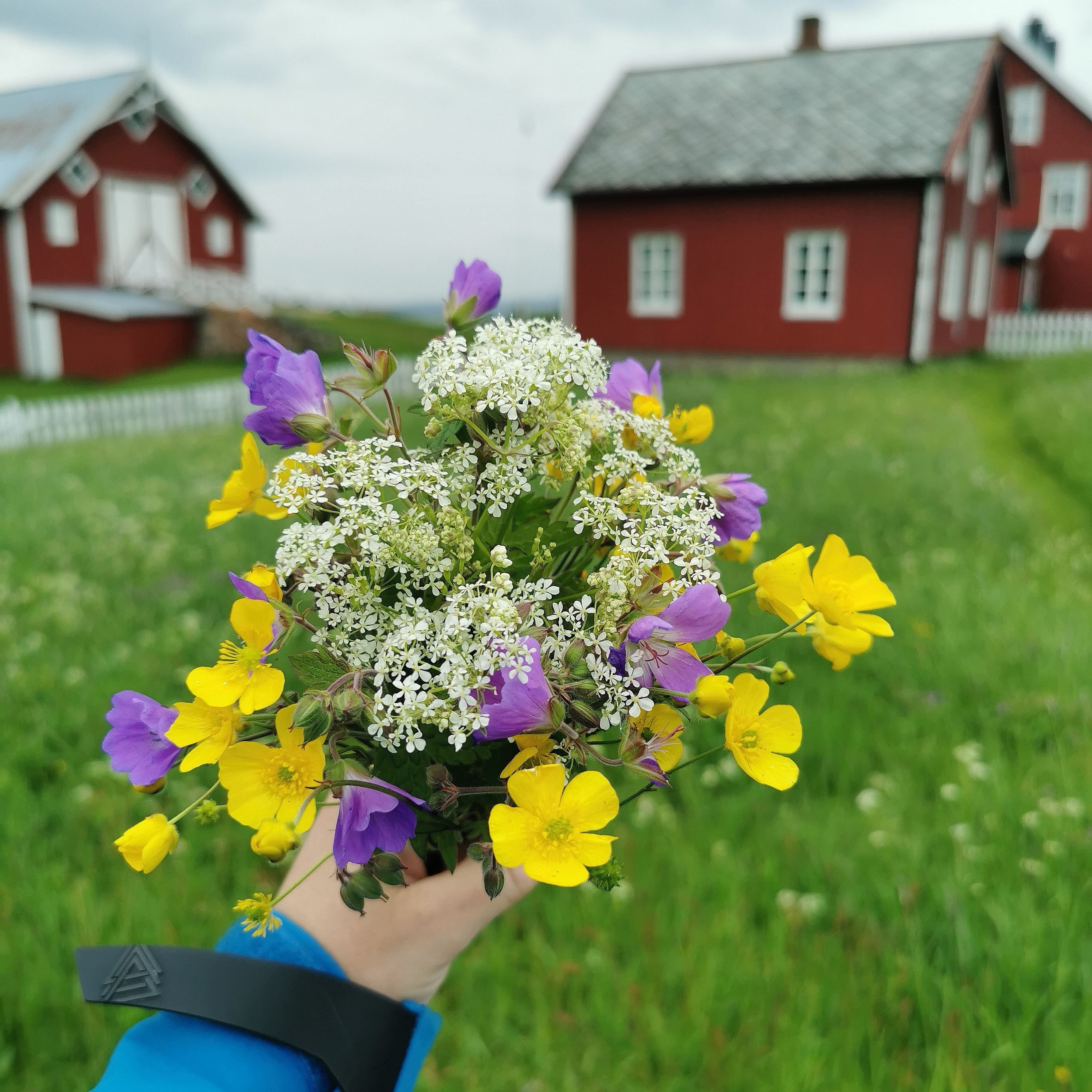 sommerbukett med tradisjonelle bygg i bakgrunnen