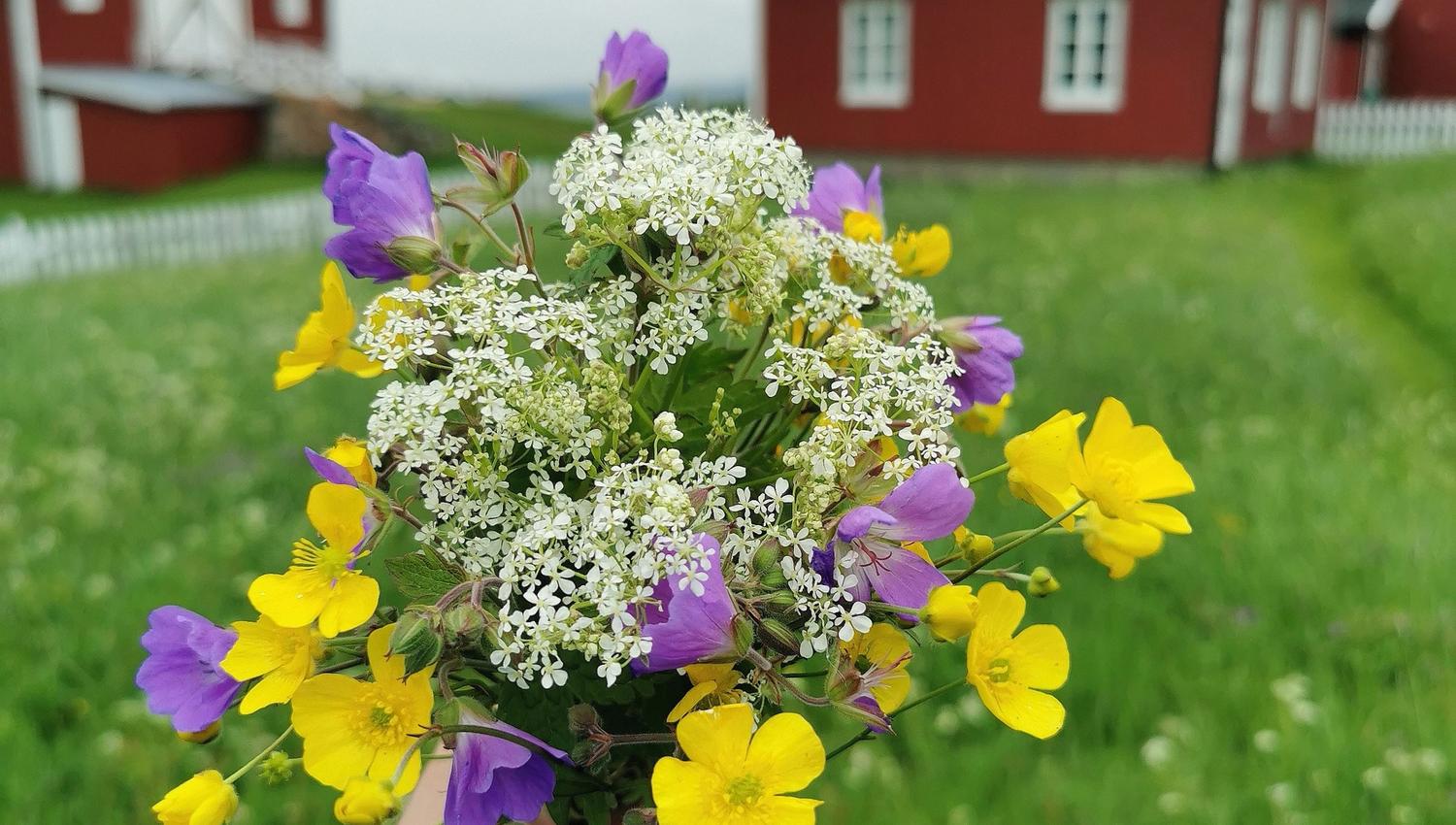 sommerbukett med tradisjonelle bygg i bakgrunnen