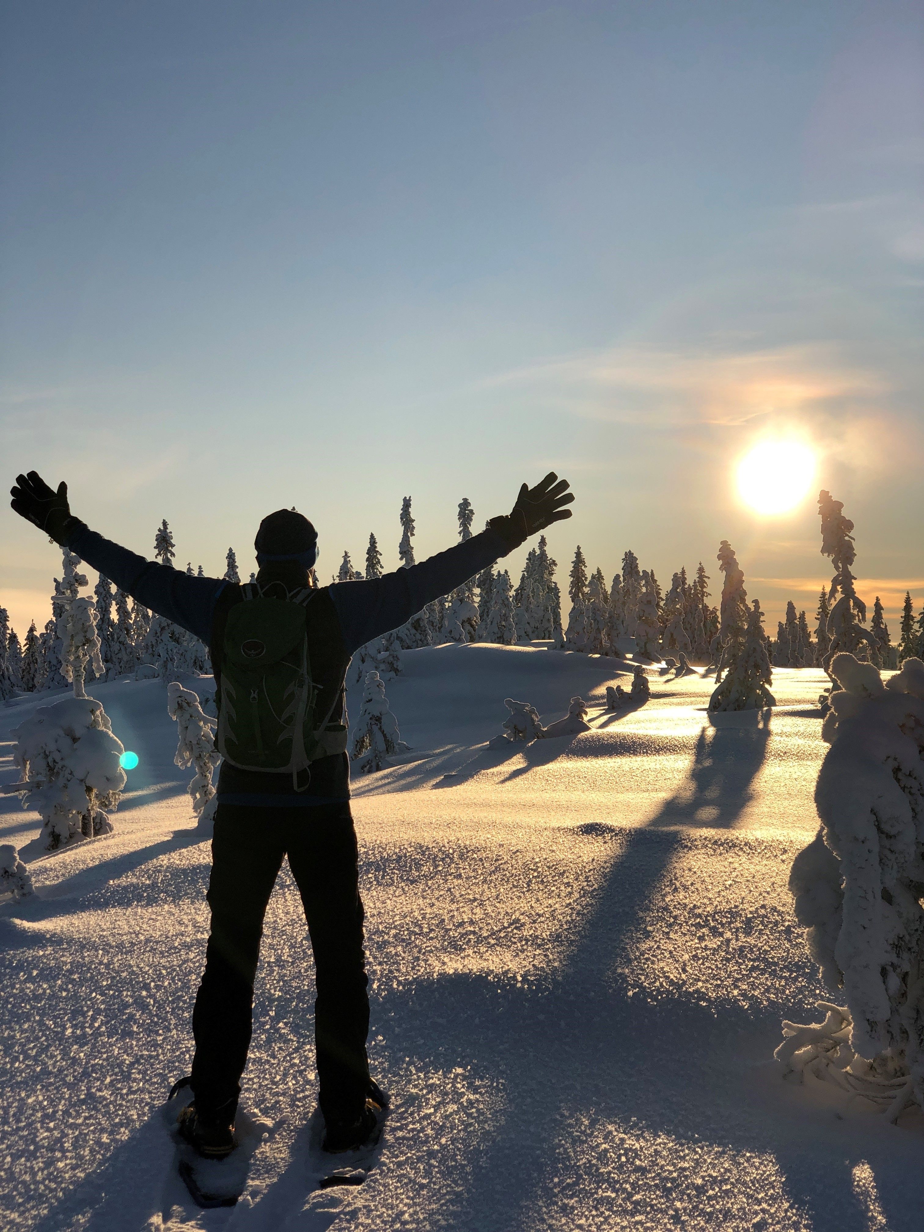 Trugetur Totenåsen_Hervenknappen_Jippi_motsol