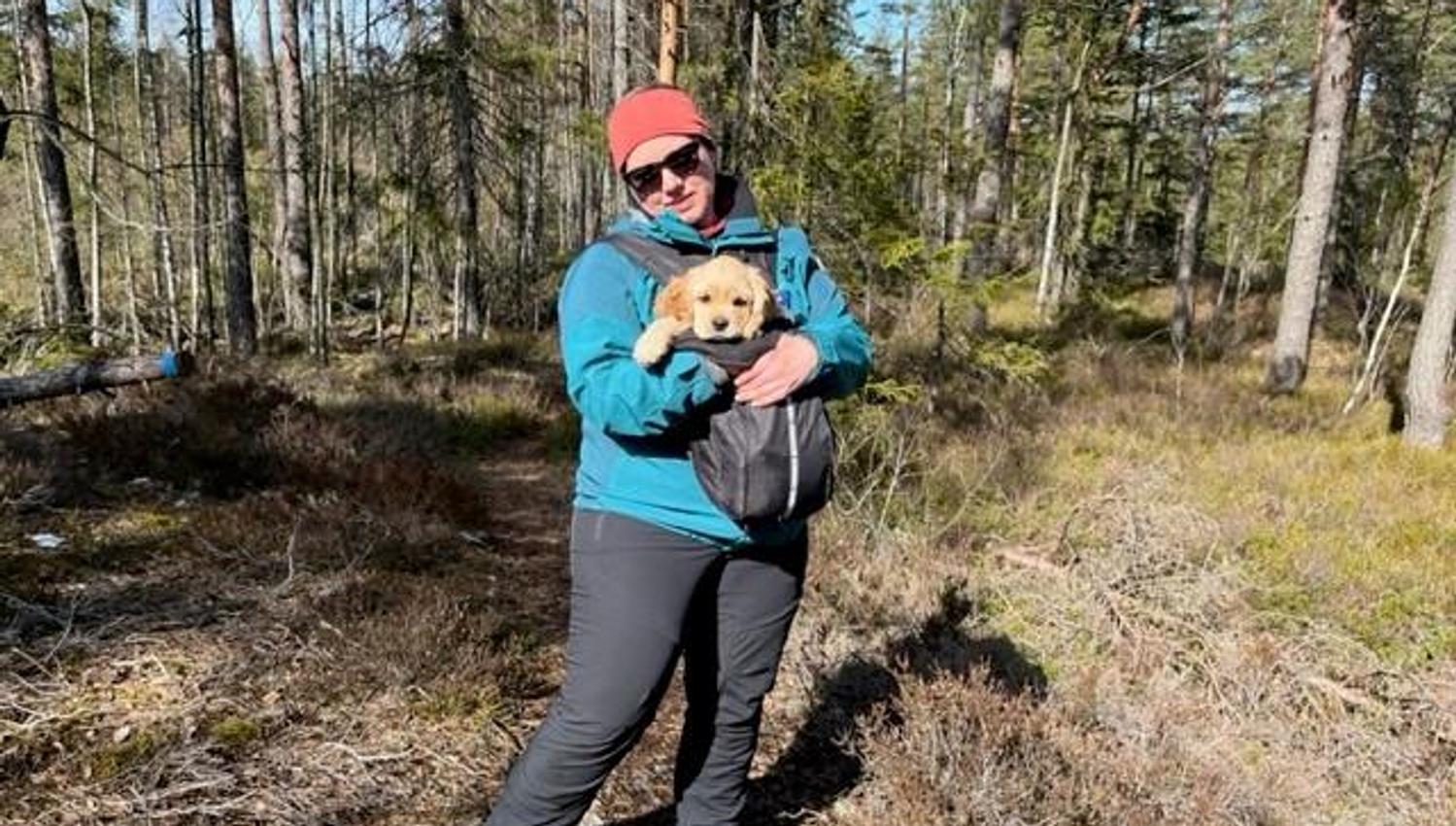 Fint terreng å gå i