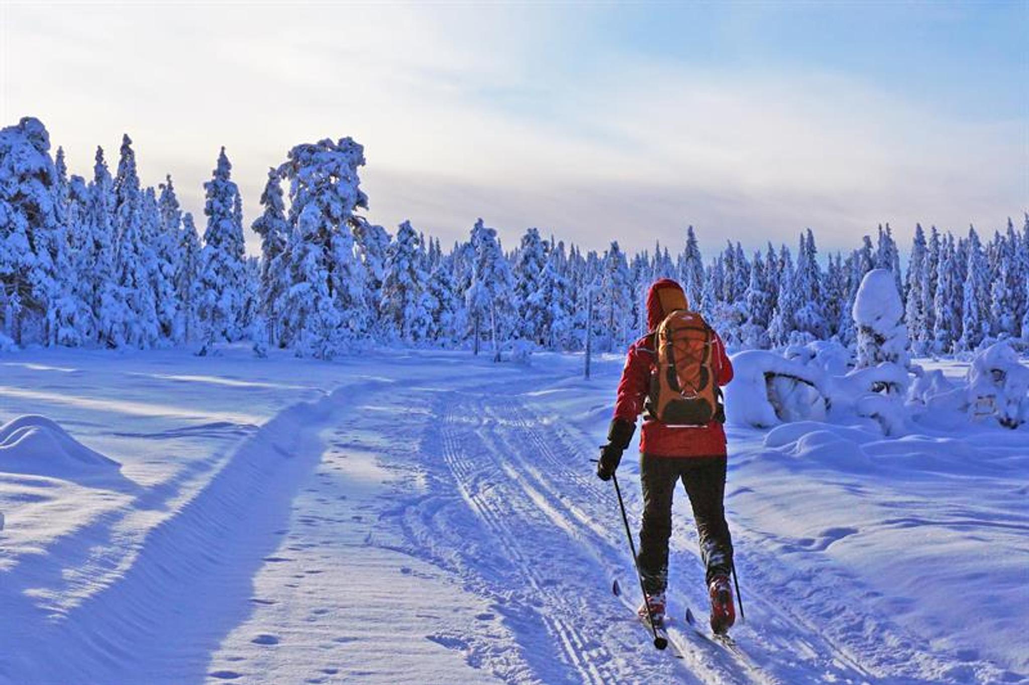 person på langrenn i vinterlandskap
