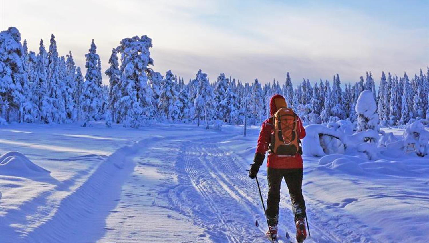person på langrenn i vinterlandskap