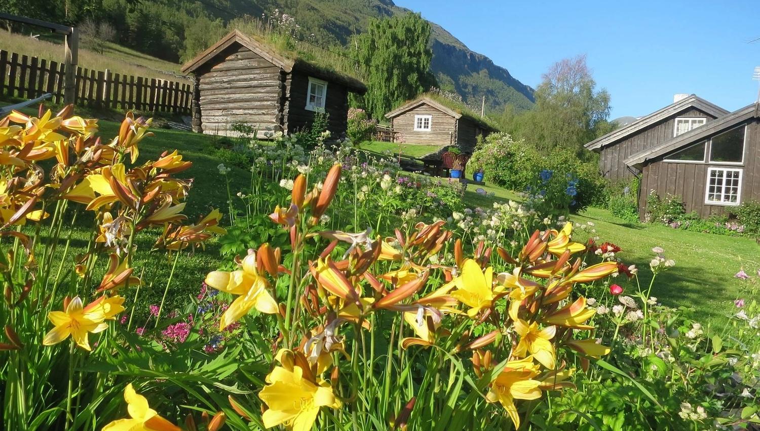 Yellow lilies bloom in a sunny garden with rustic wooden cabins, green hillsides, and a clear blue sky..