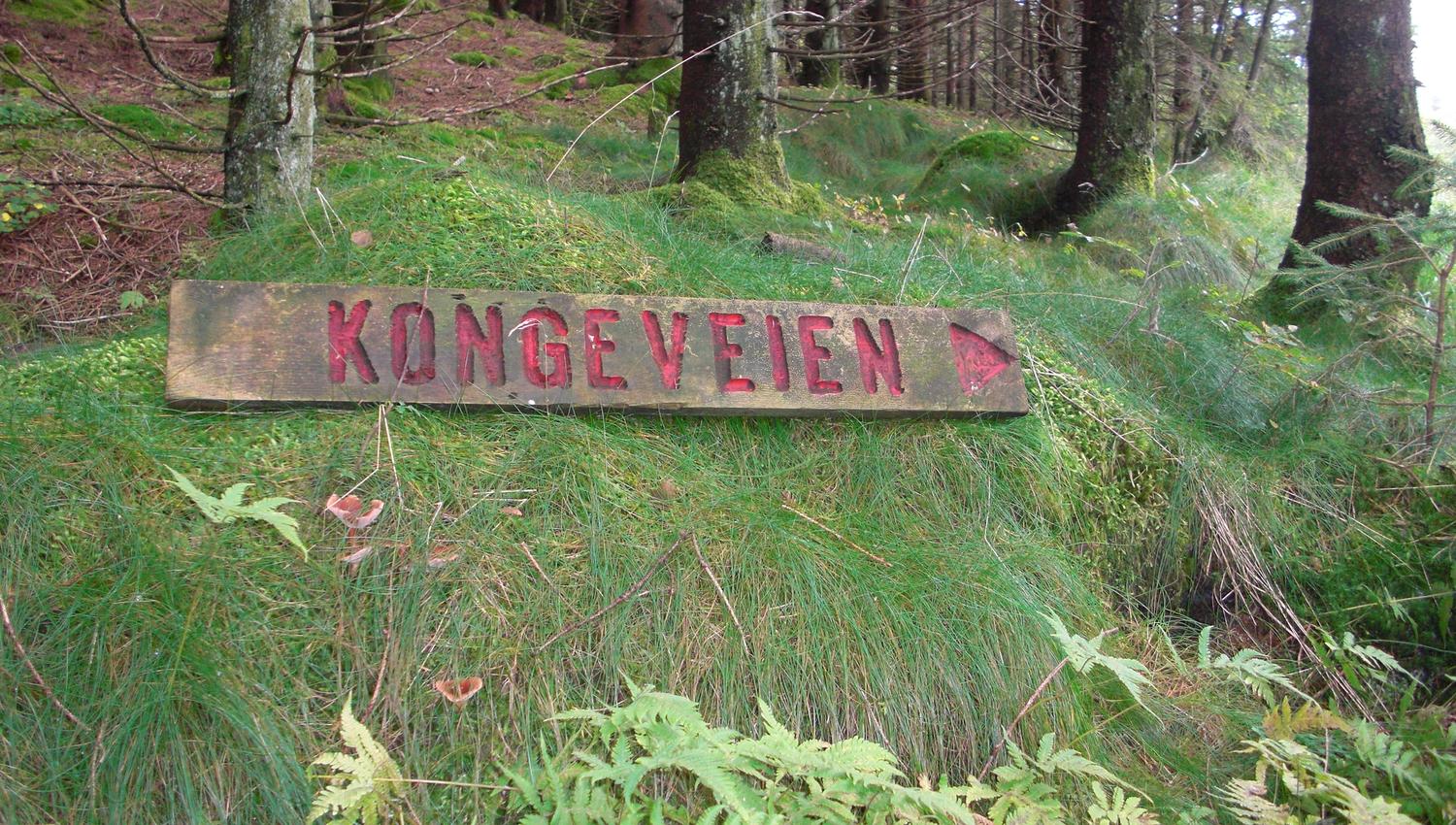 Kongeveien Hiking Tour