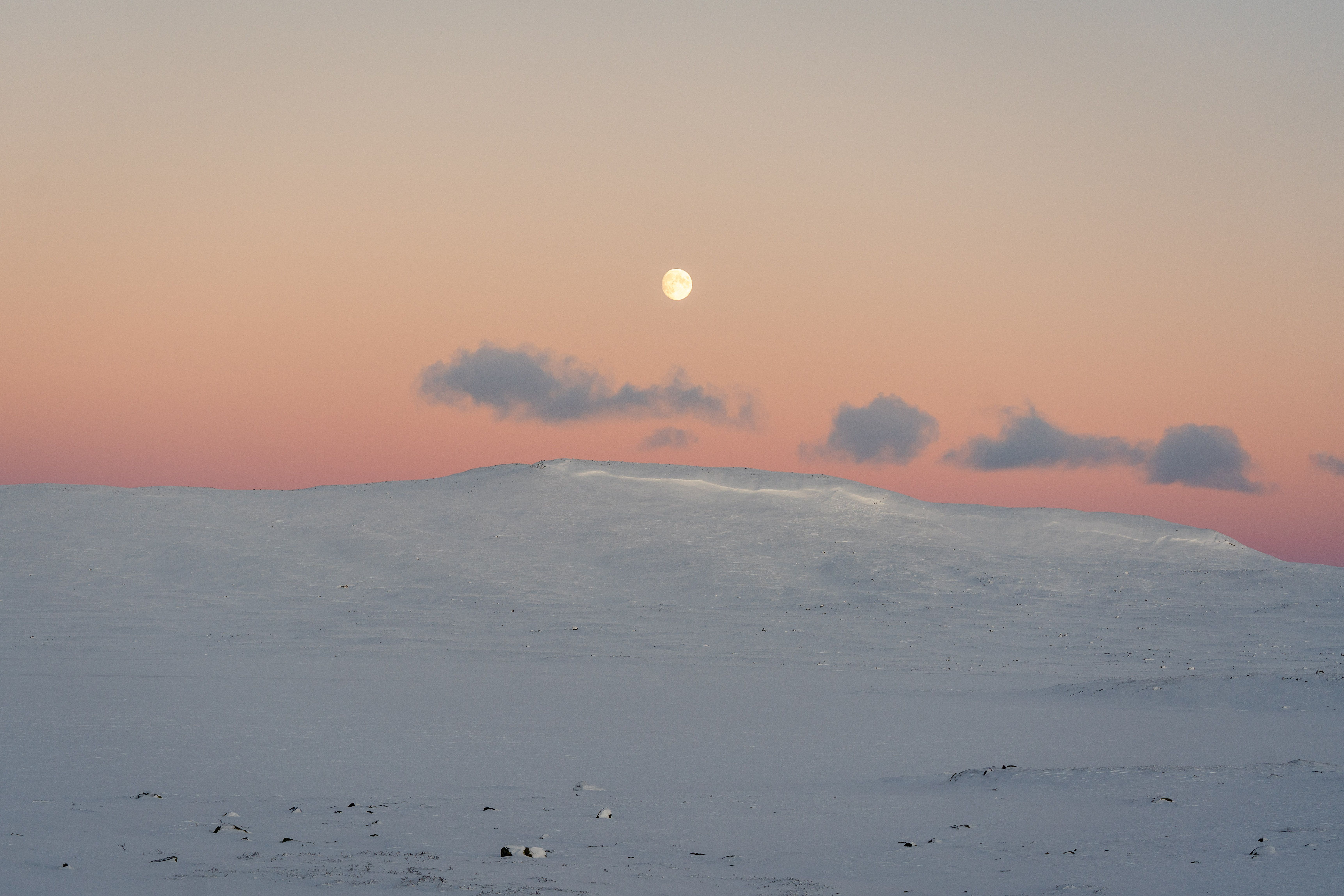 Winterlandscape with a tall, snowcovered mountain underneath a sunset sky and the full moon.