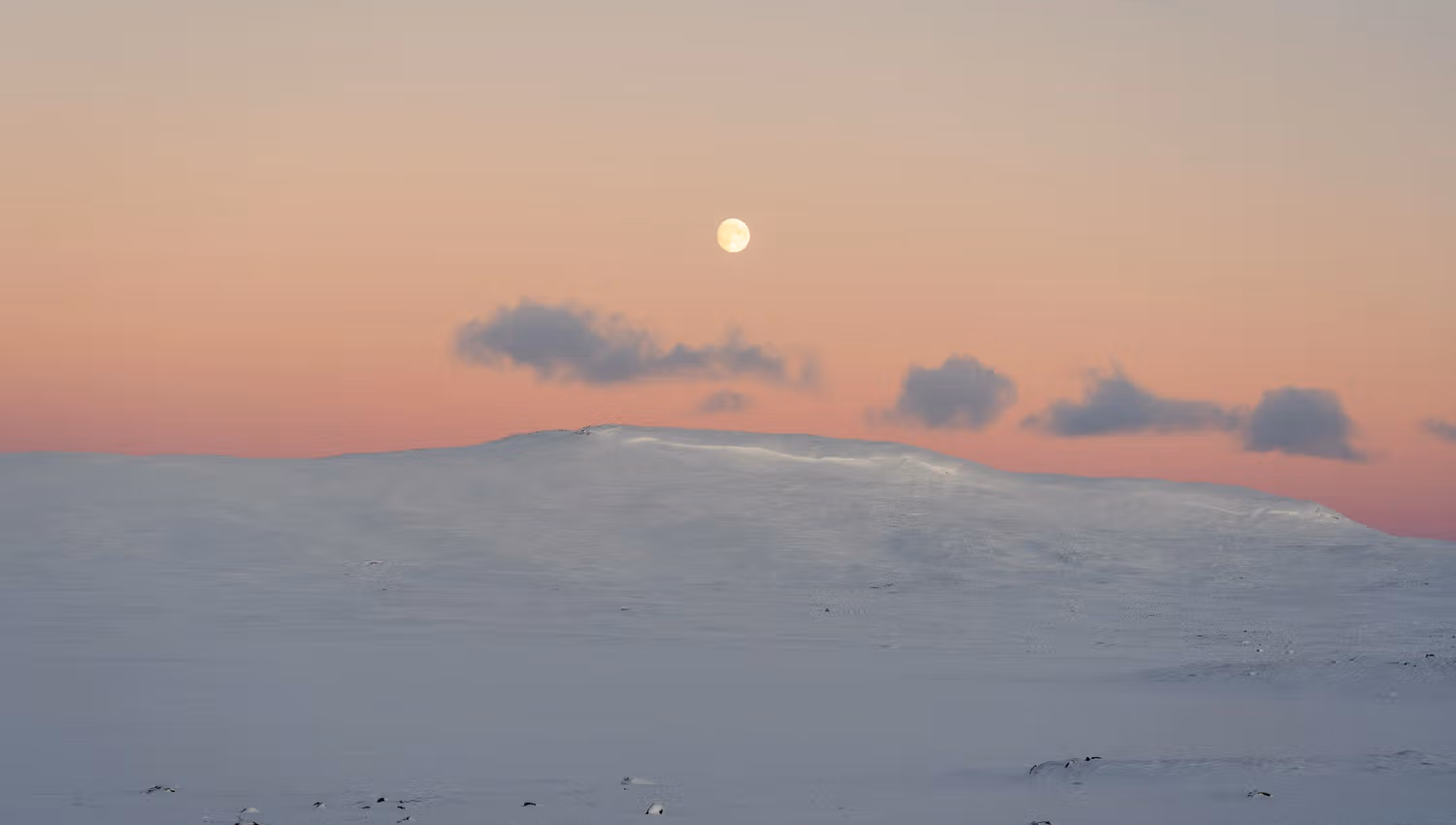 Winterlandscape with a tall, snowcovered mountain underneath a sunset sky and the full moon.