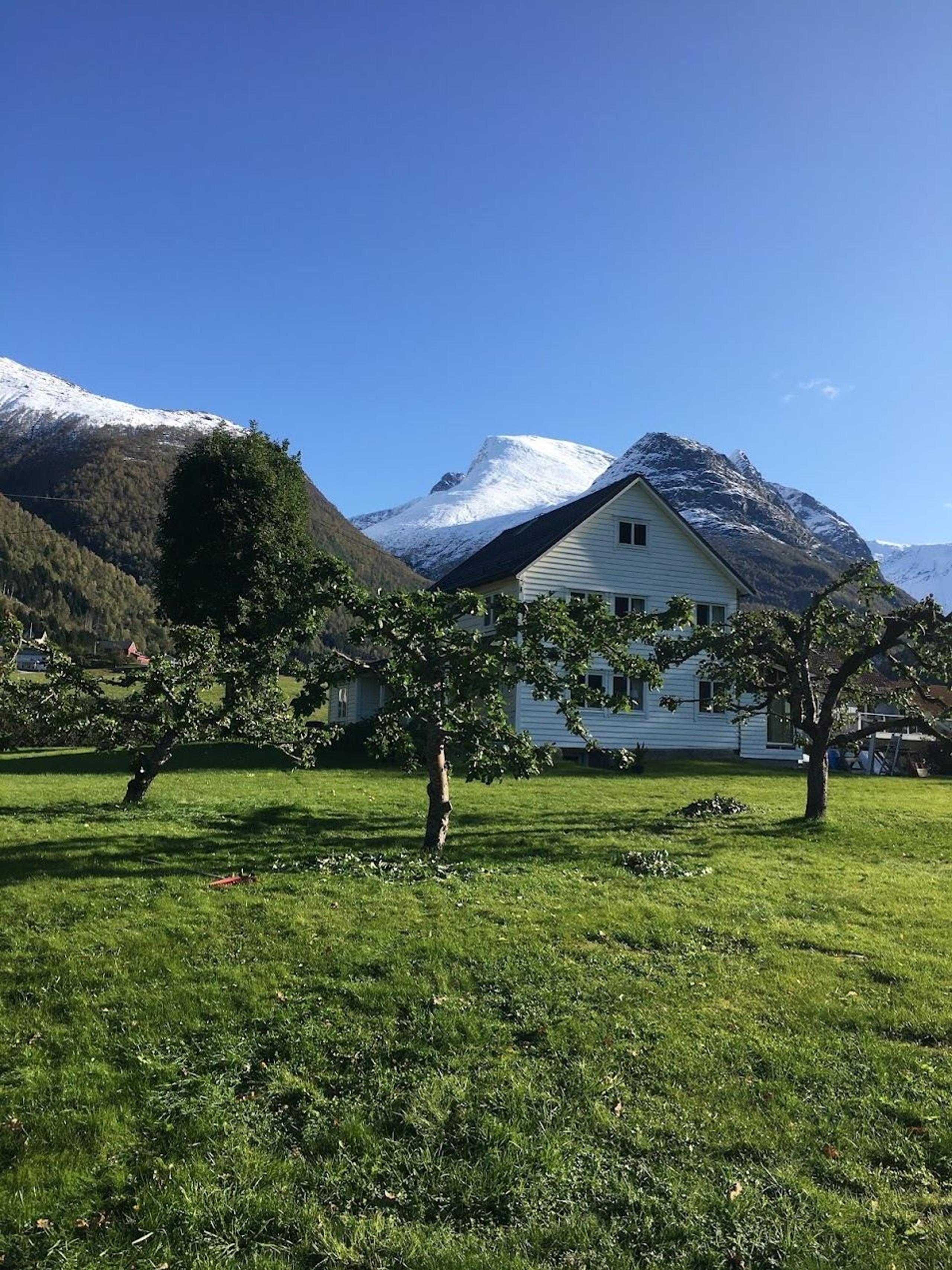 Kvite trehus på grøn plen med frukttre i forgrunnen, og snødekte fjell under klar blå himmel..