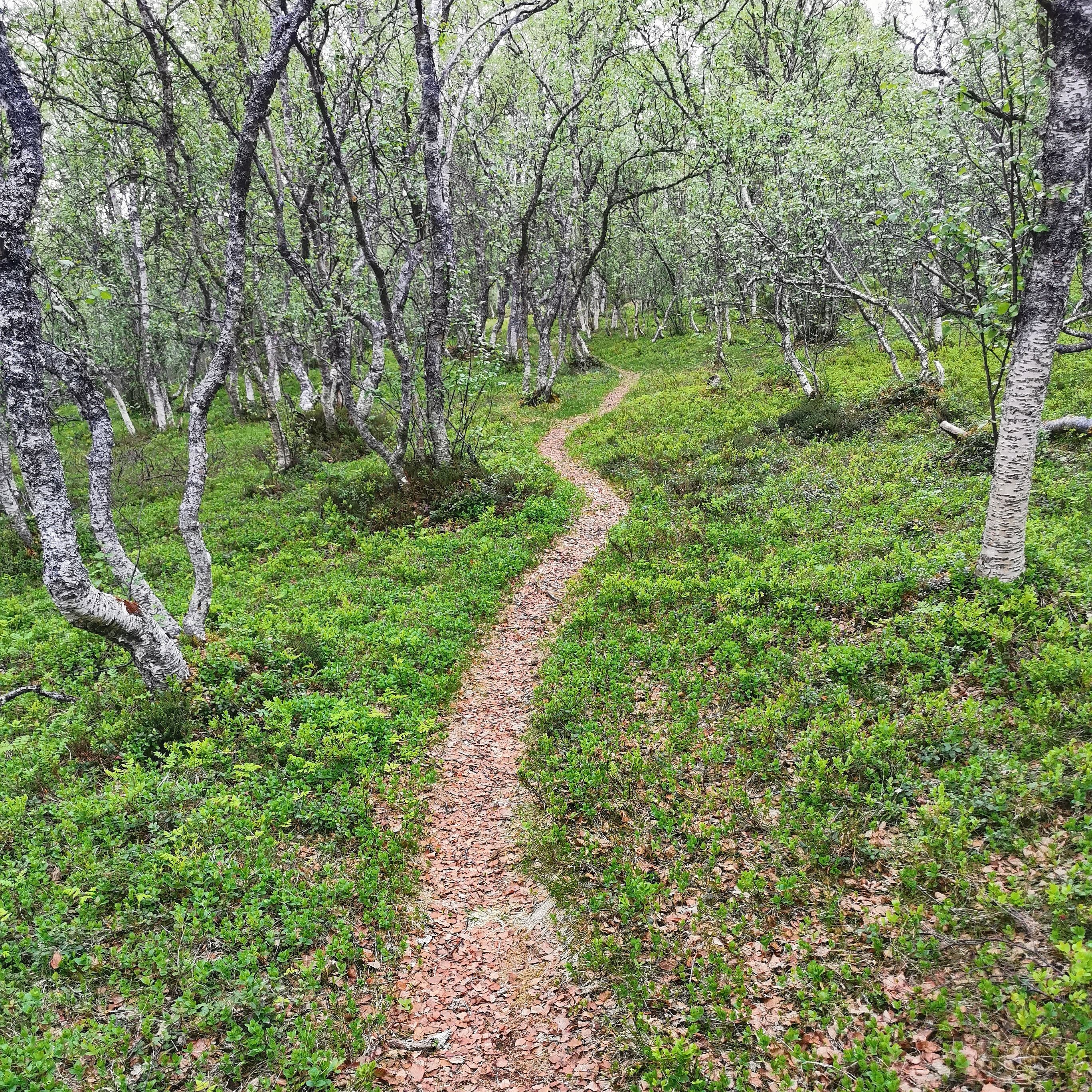 hiking trail