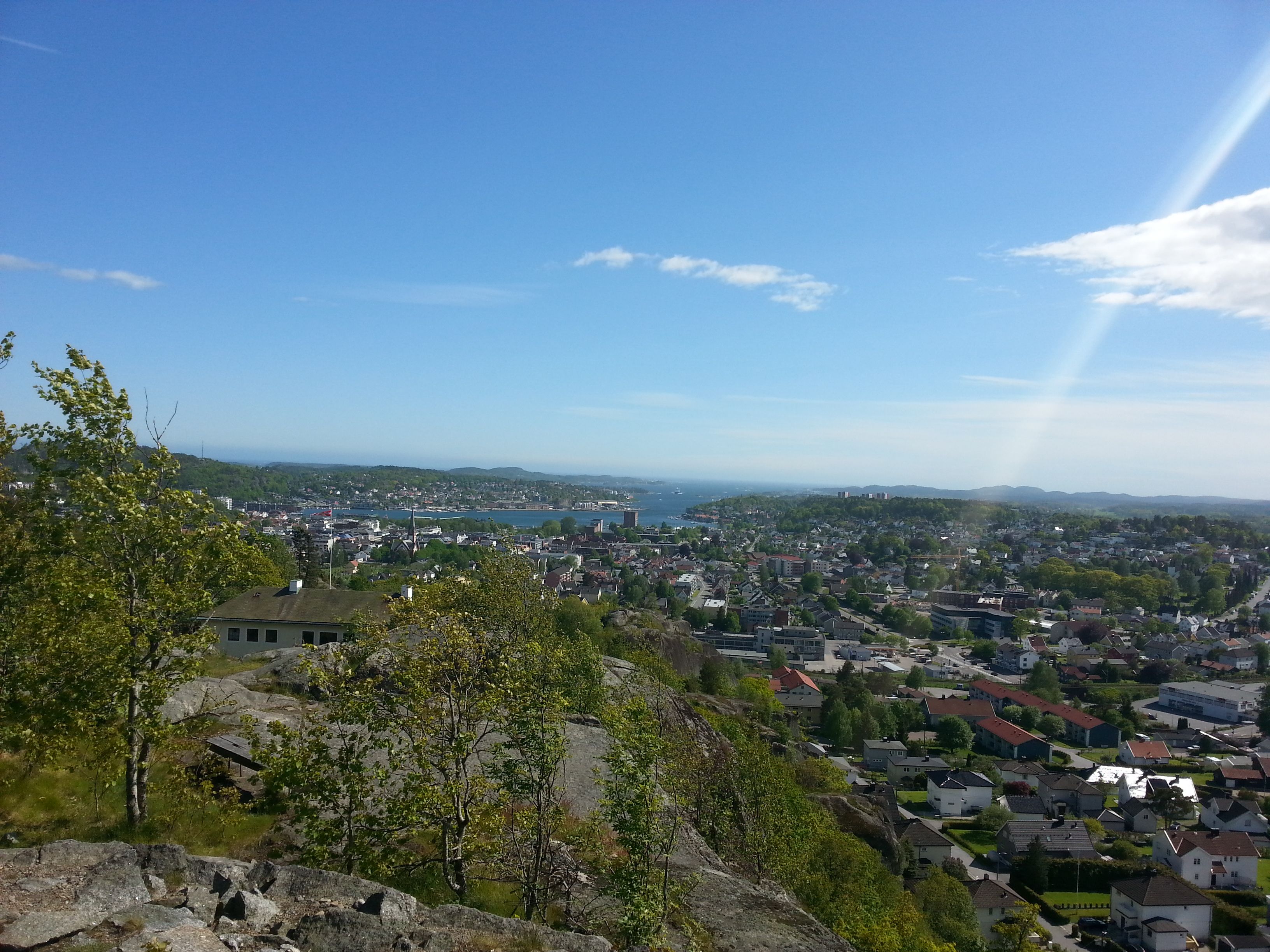 Mokollen