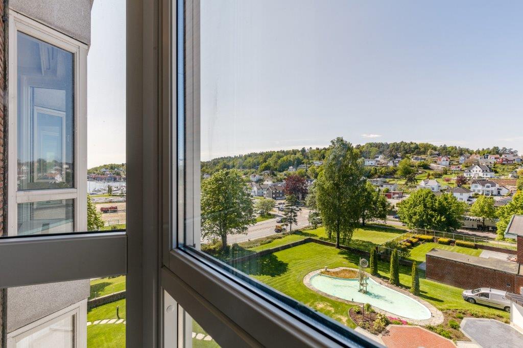 Utsikt til parken fra hotellet