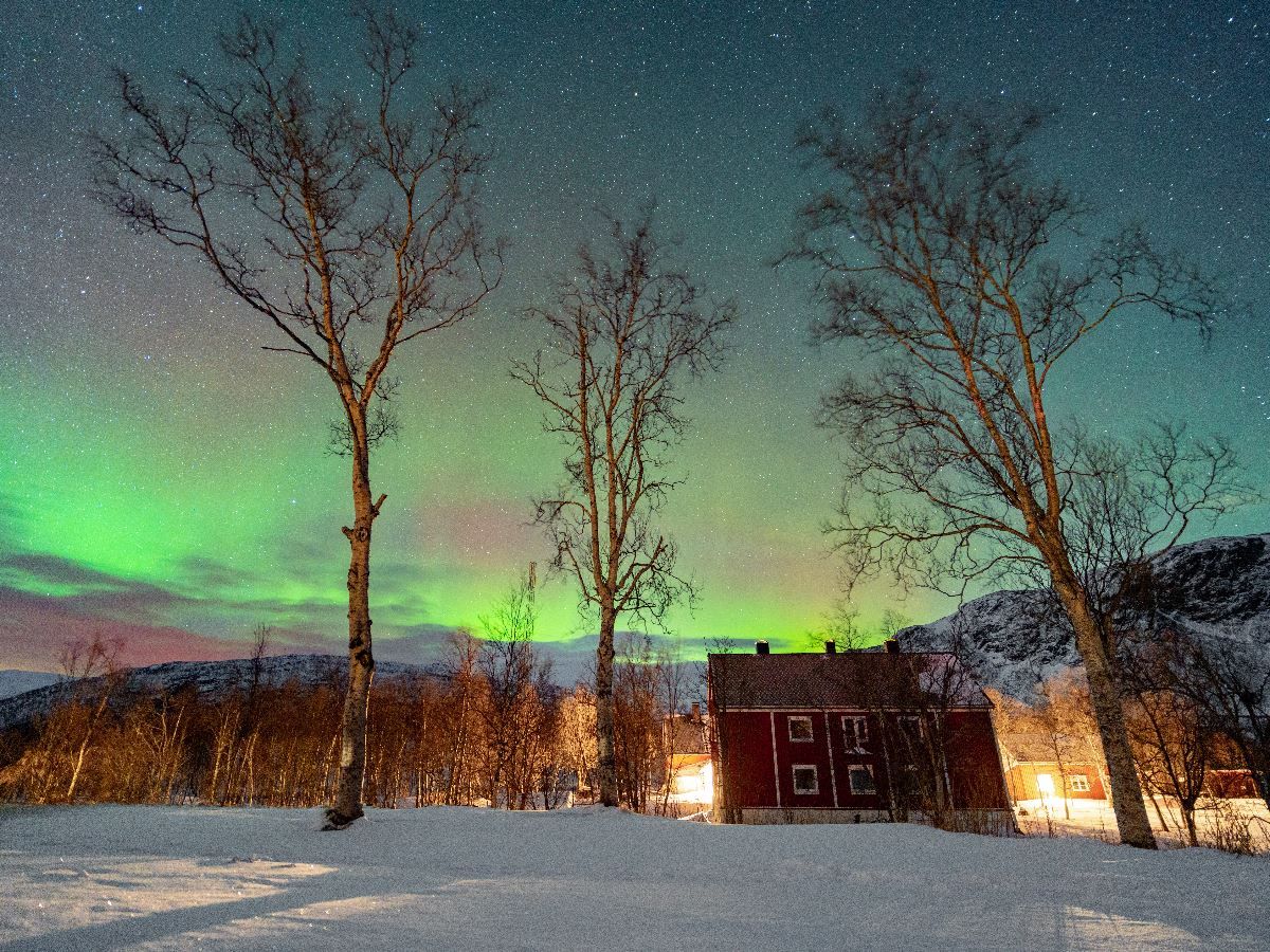Green northern lights glow above a snowy landscape with bare trees, stars, and a red cabin lit at night..