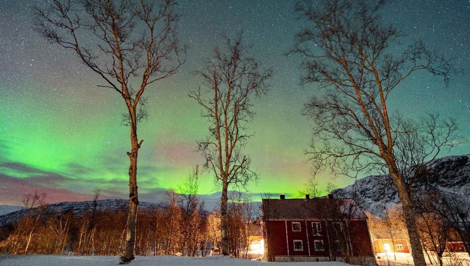 Green northern lights glow above a snowy landscape with bare trees, stars, and a red cabin lit at night..