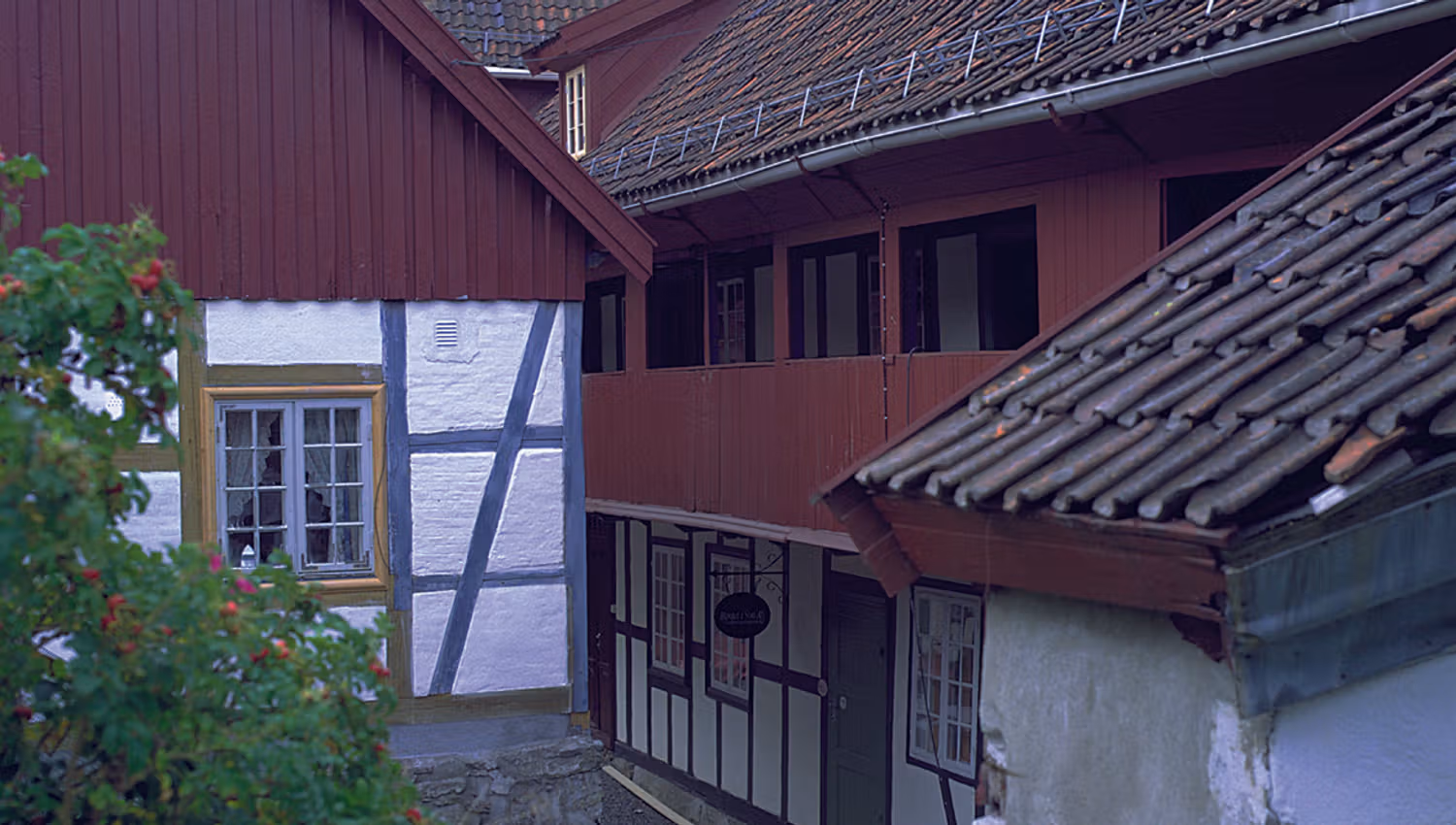 thornegarden