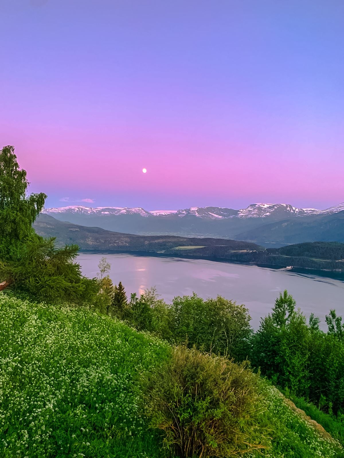 Stunning panoramic view from the Birdbox cabin at Skaara Living on Lotsberg in Nordfjord, surrounded by mountains and fjord landscape.
