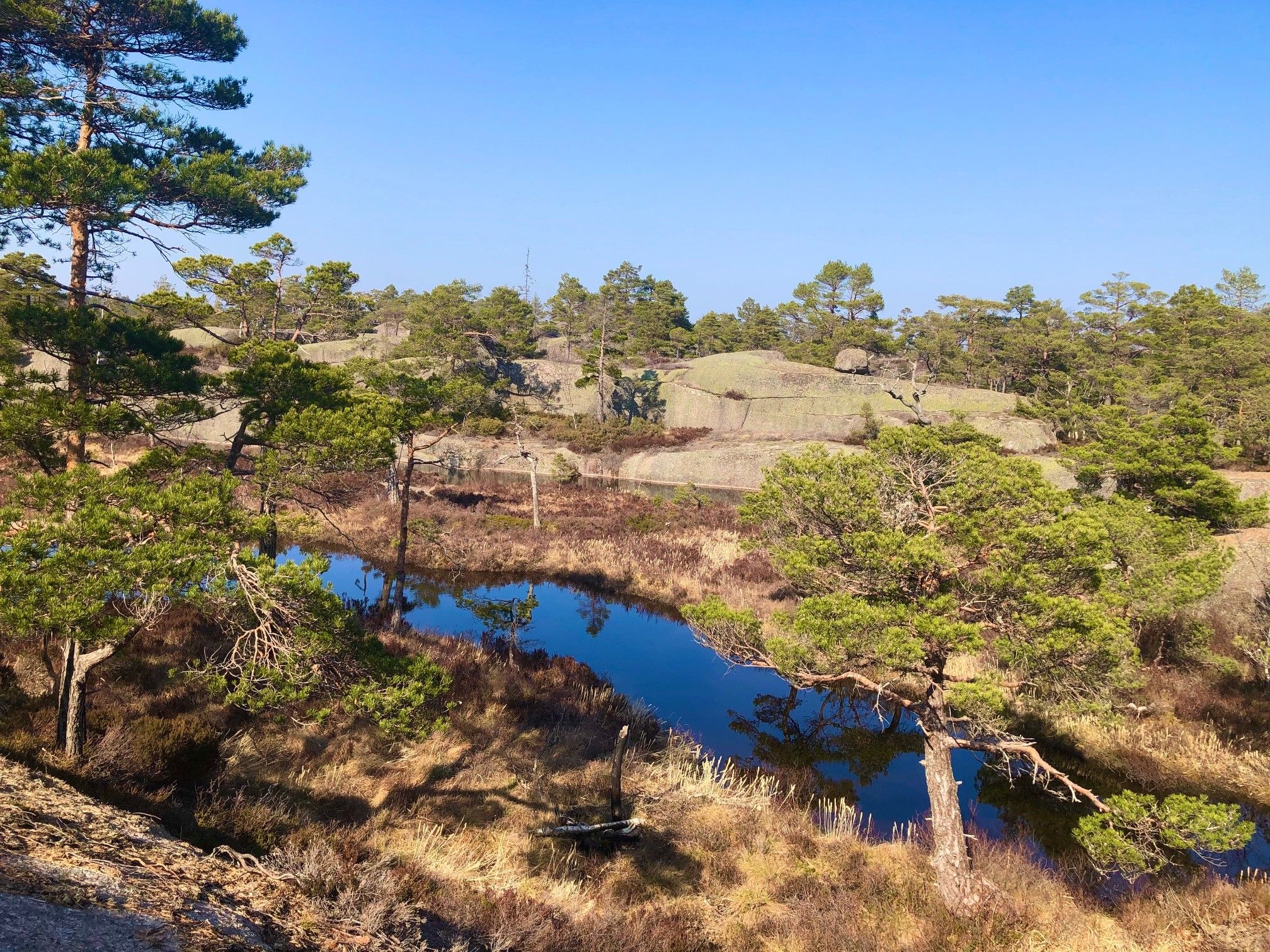 Einerfjell 4