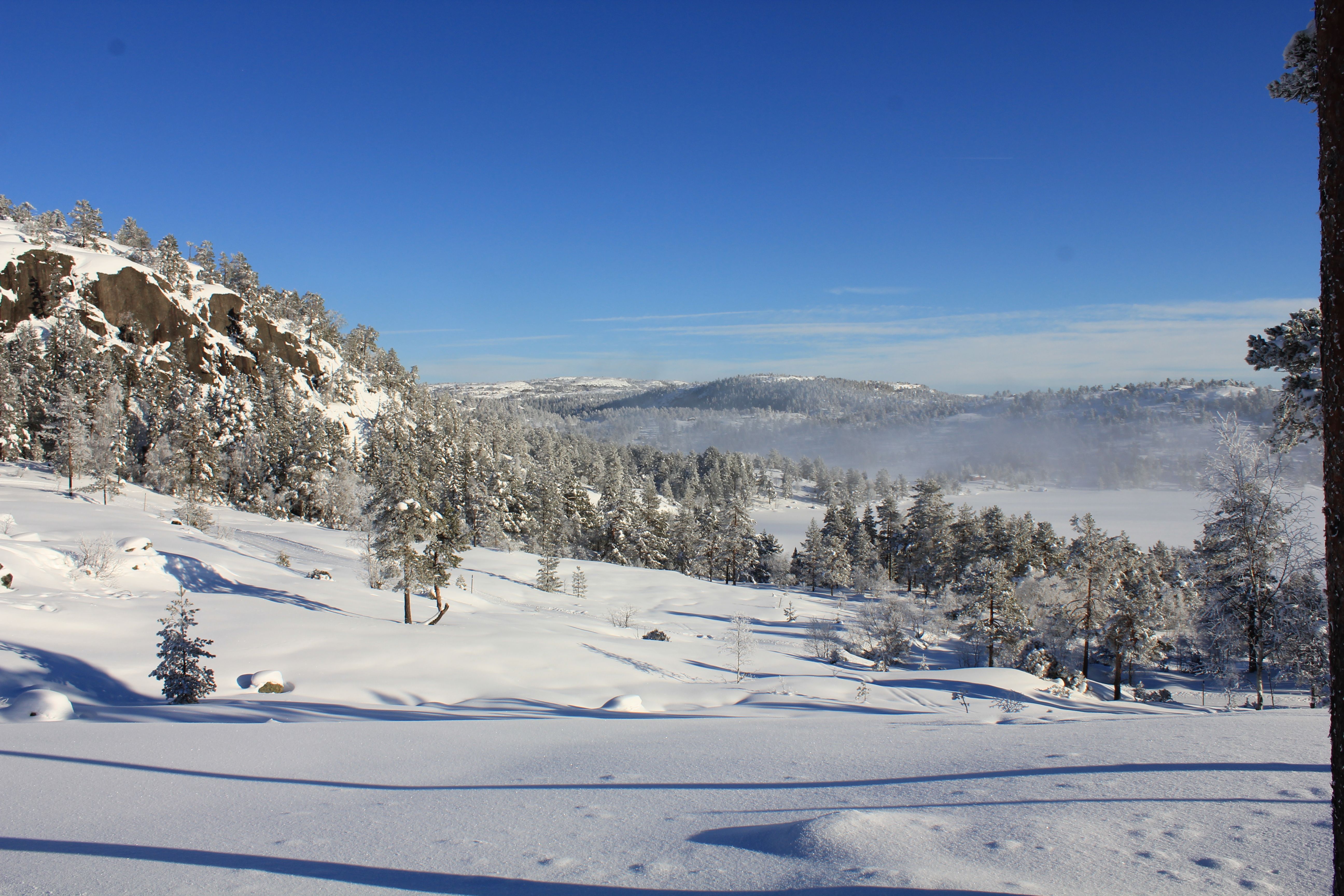 Landscape at Gautefall. 