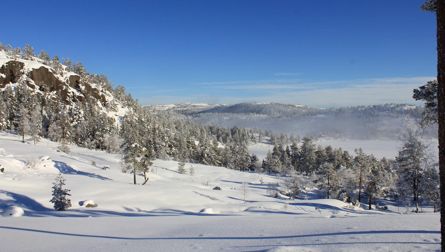 Landscape at Gautefall.