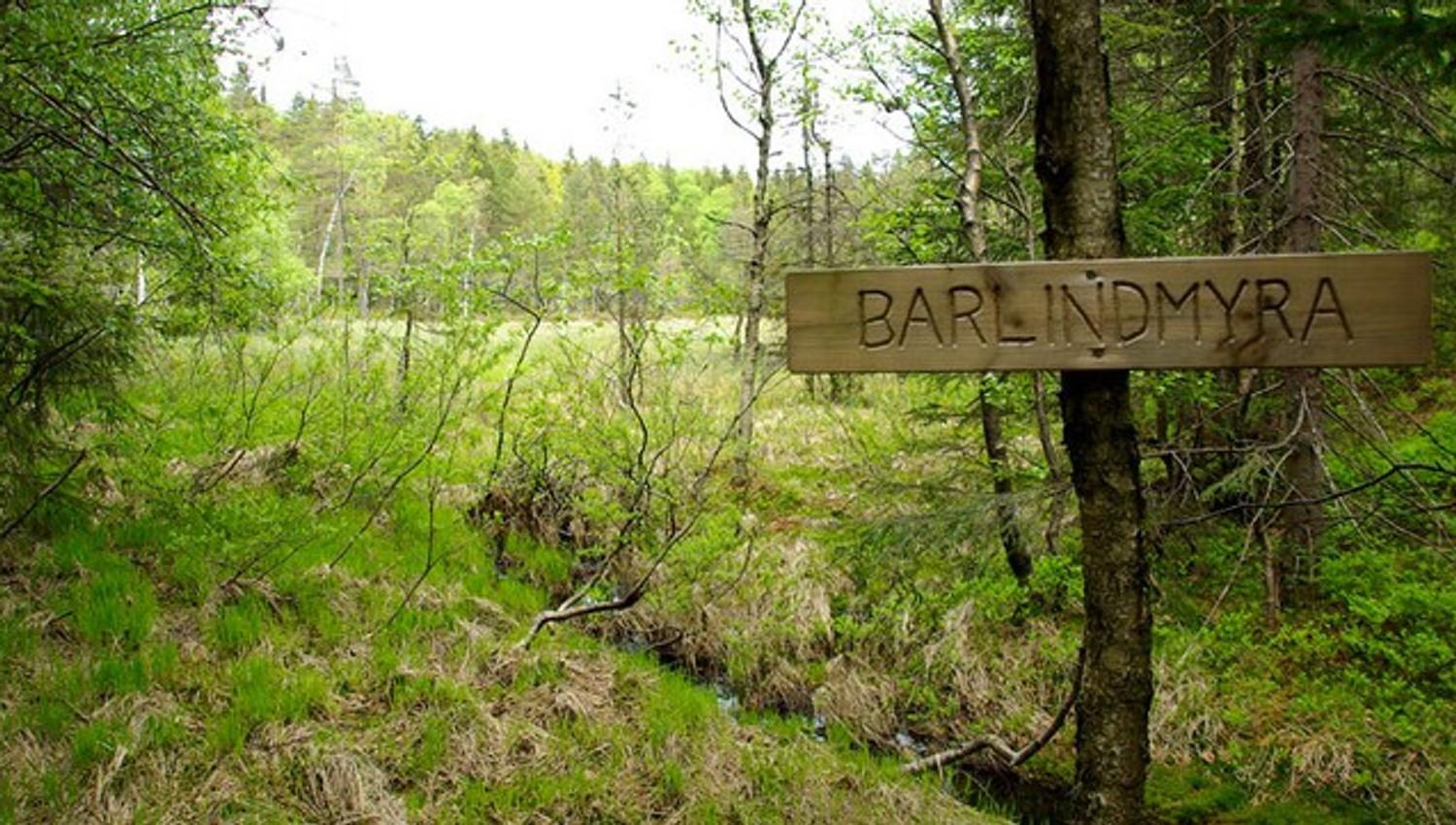 Vegårshei Tursti Barlindsmyra
