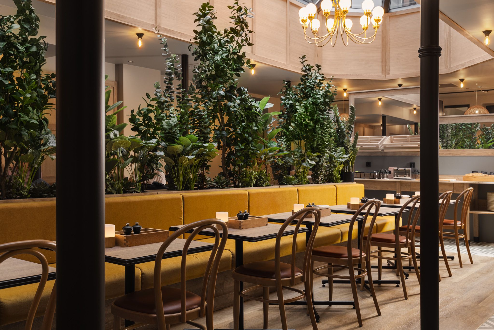 A hotel restaurant with a yellow seating section along large green plants, small square wooden tables and wooden chairs, and a gold-colored chandelier