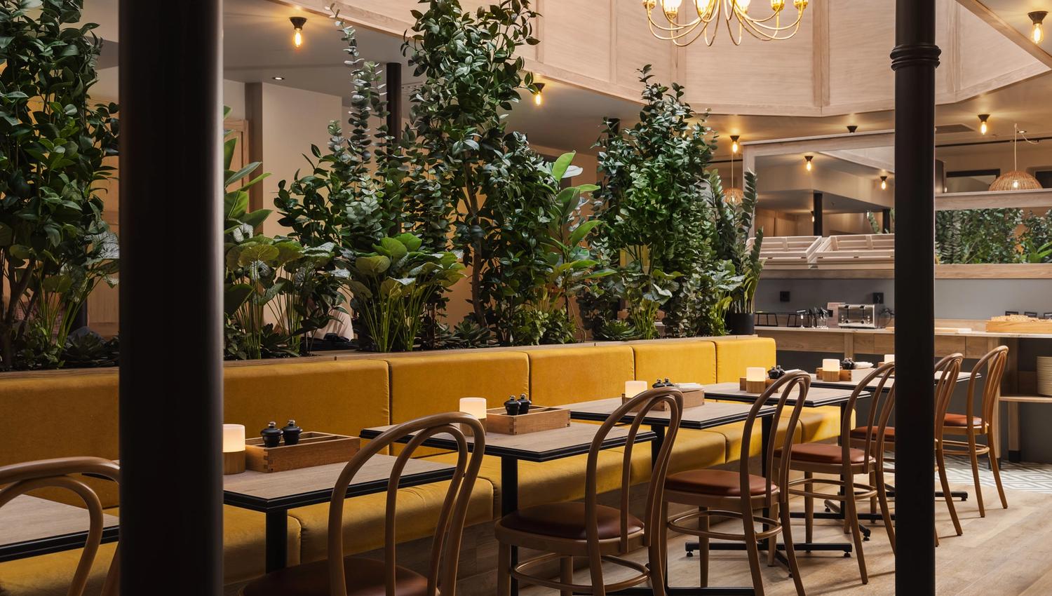 A hotel restaurant with a yellow seating section along large green plants, small square wooden tables and wooden chairs, and a gold-colored chandelier