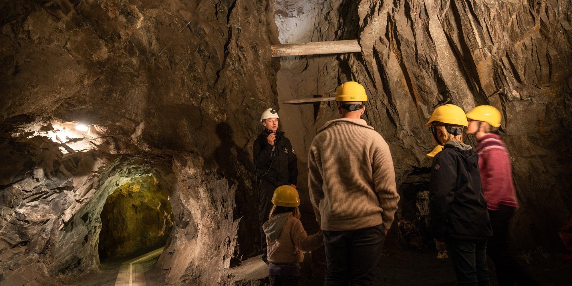 The Silver Mine