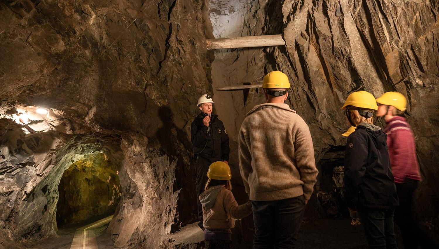 The Silver Mine