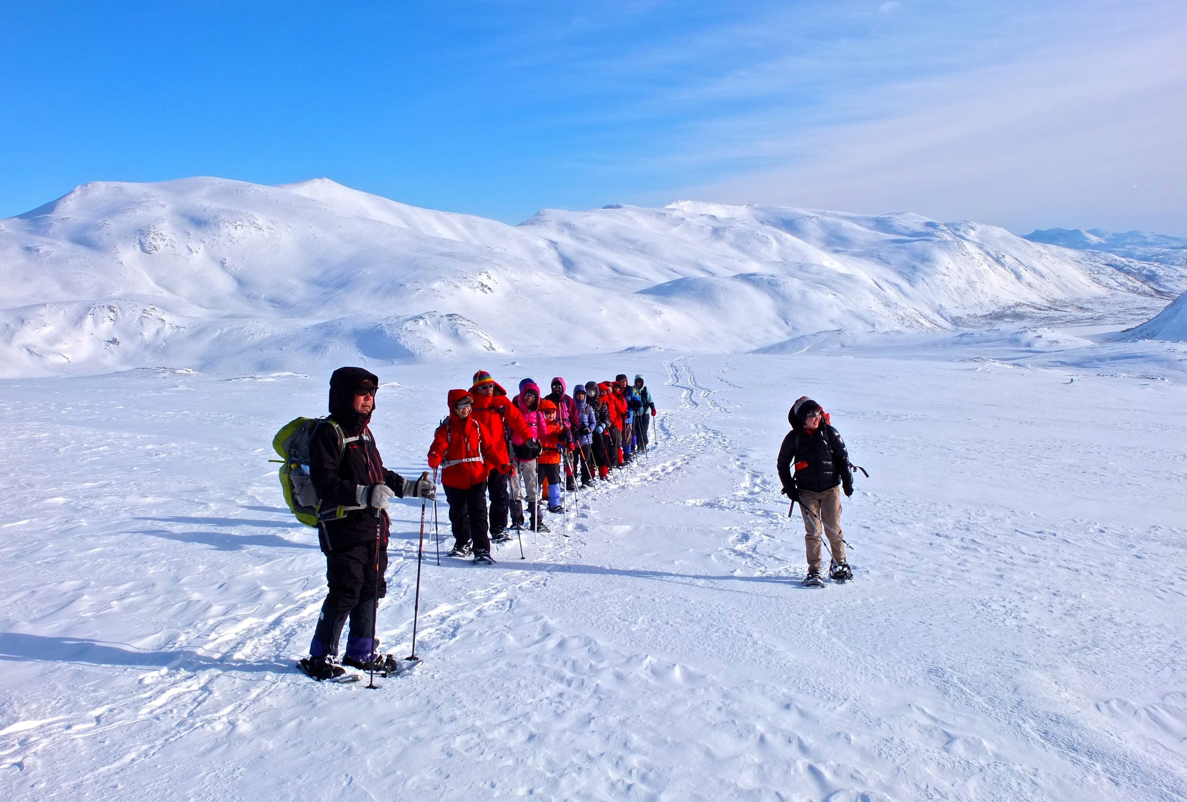 Several people snowshoeing through a snow-covered landscape.