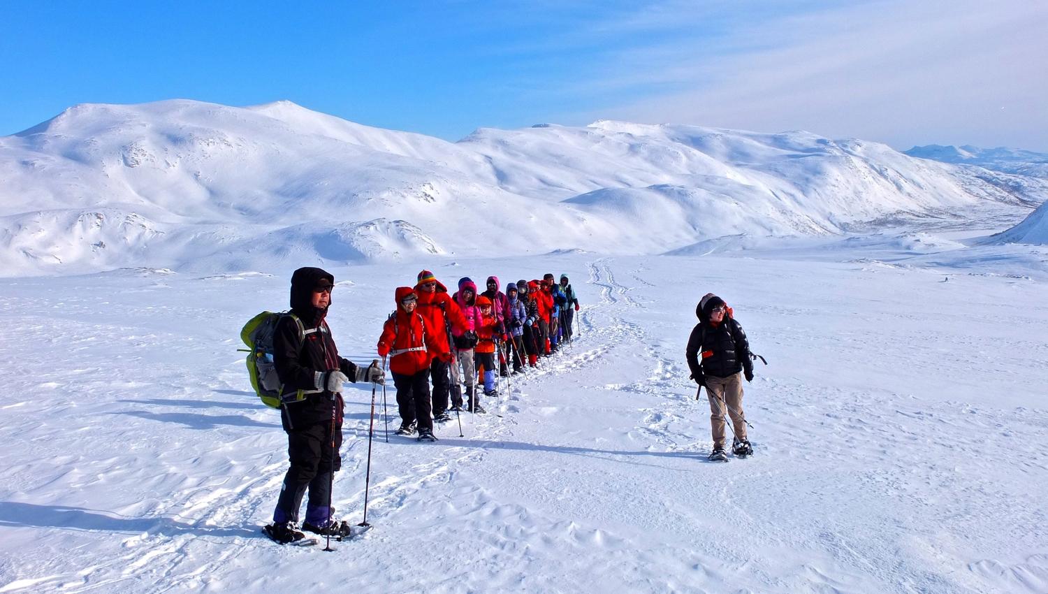Several people snowshoeing through a snow-covered landscape.