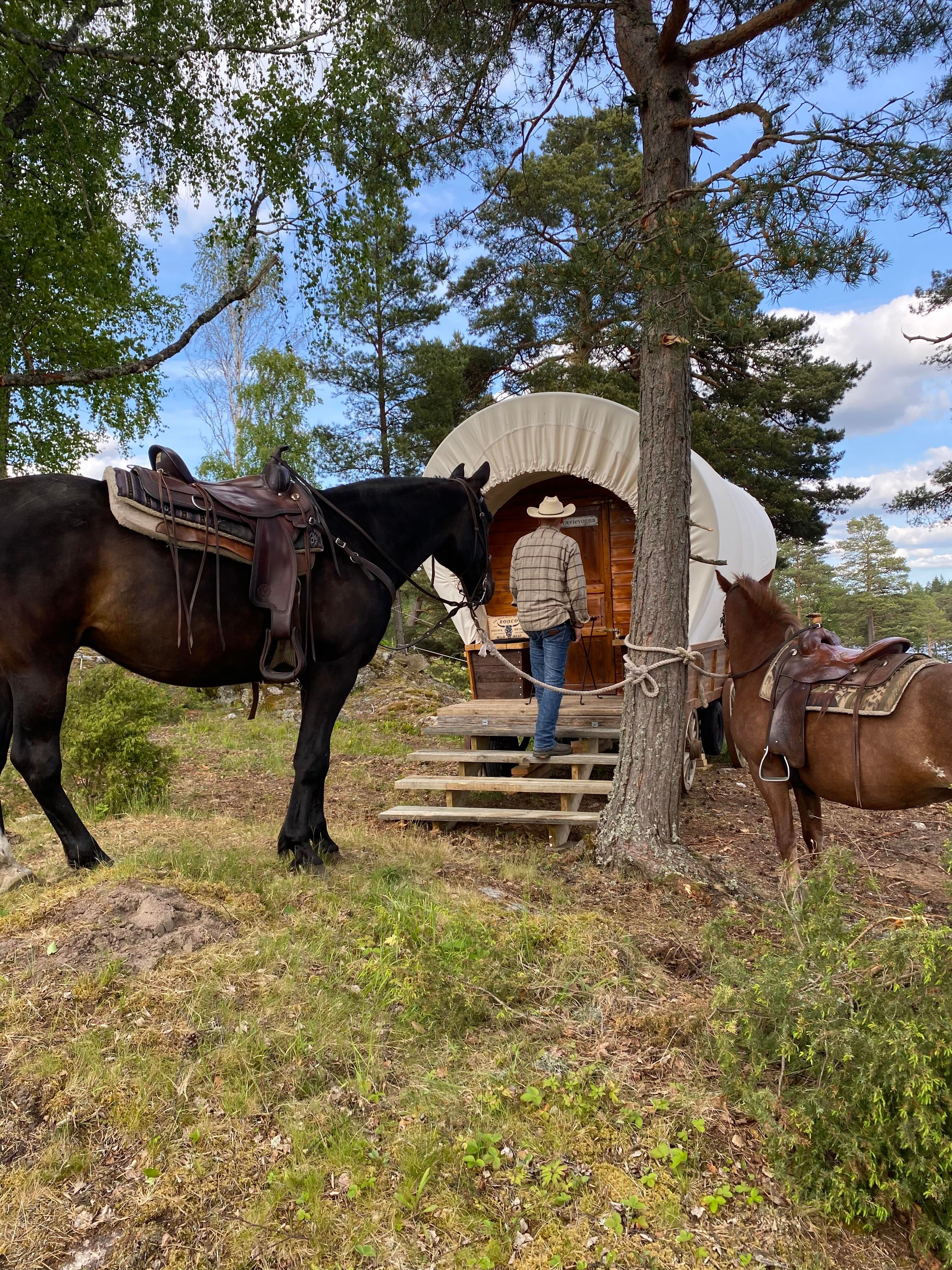 Prærievogna og hest Basnes Trailrides