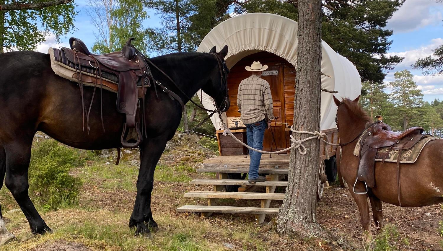 Prærievogna og hest Basnes Trailrides