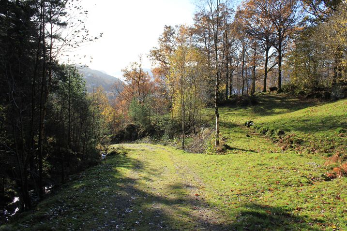 Månen
