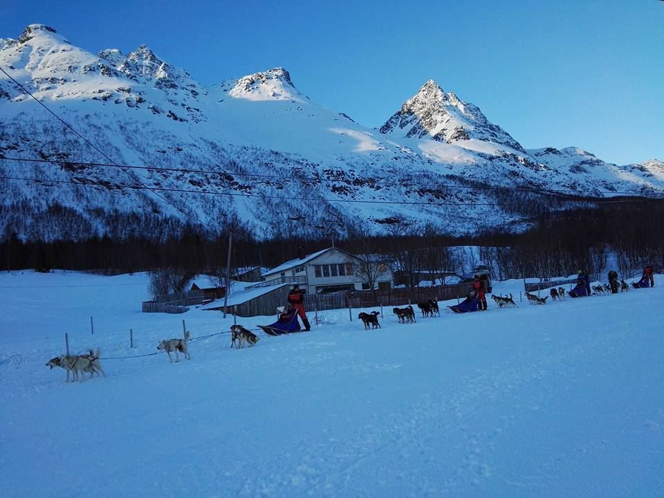 Dog-sledding past houses and mountains