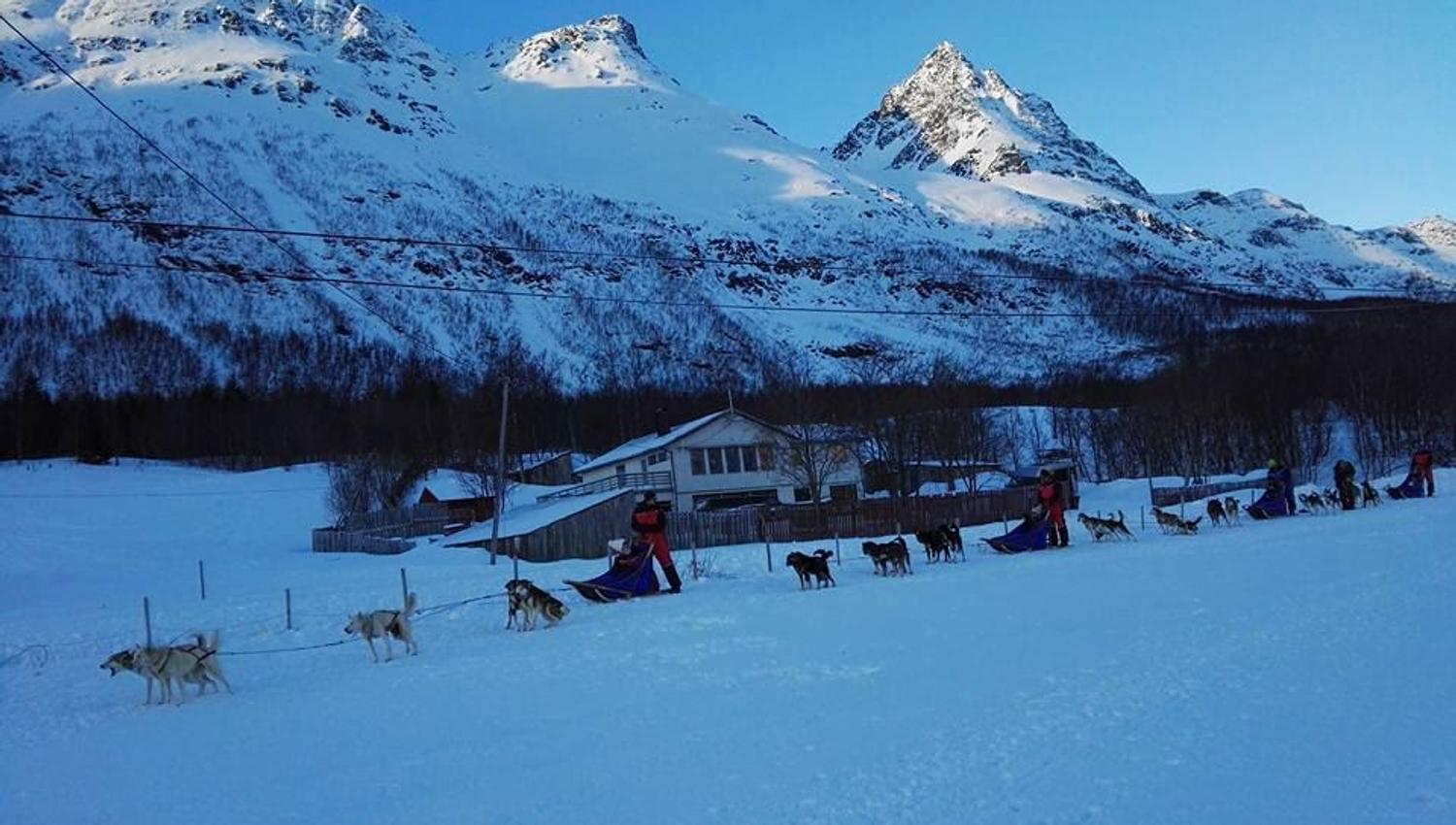 Dog-sledding past houses and mountains