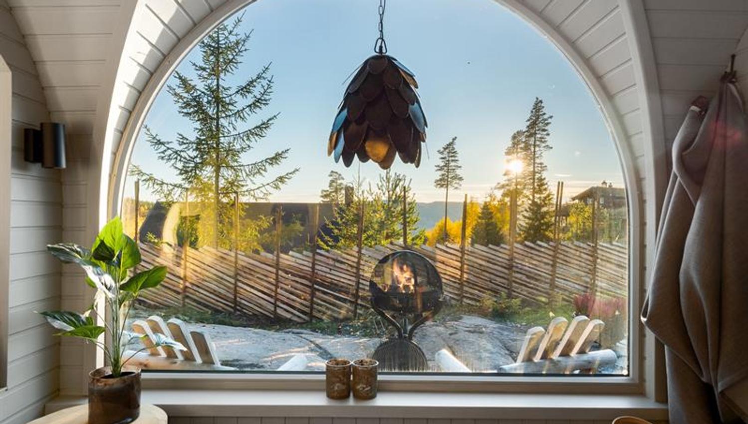 utsiktsbilde gjennom et stort vindu med skog