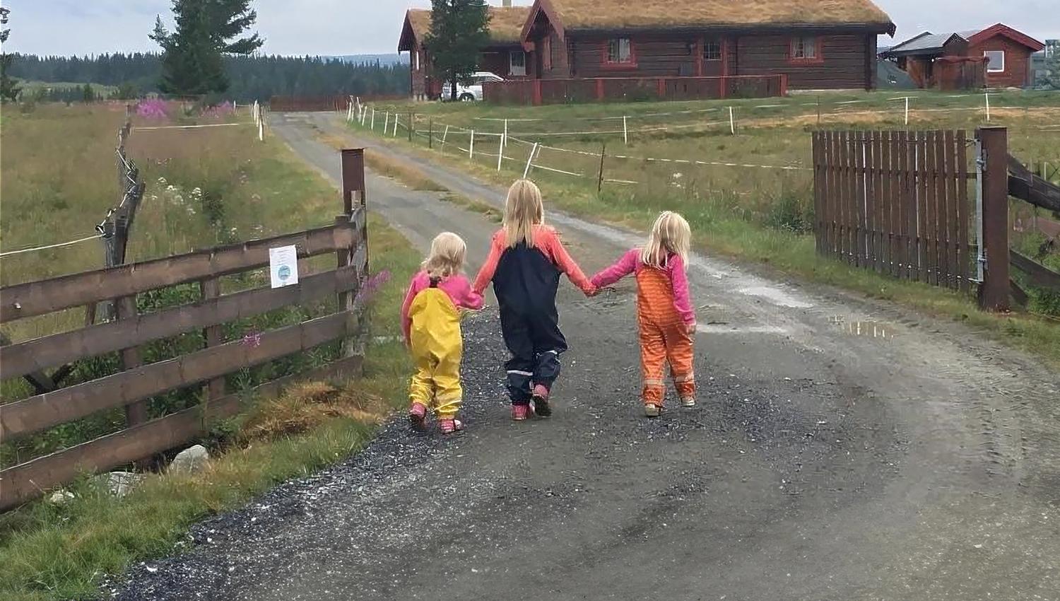 Åpen Øynebråten Støl