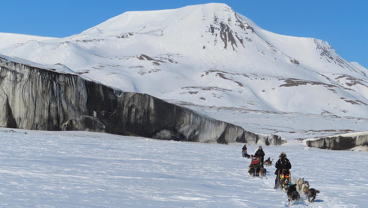Hunder og gjester som kjører hundespann på rekke i forgrunnen omringet av et snødekt landskap med en isbrefront og et fjell i bakgrunnen
