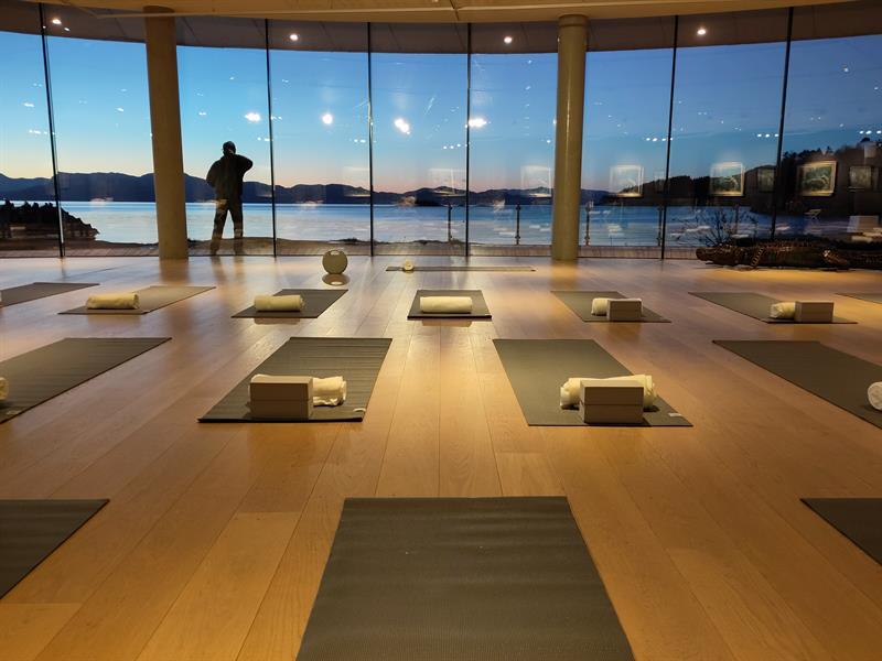 Yoga i kunsten