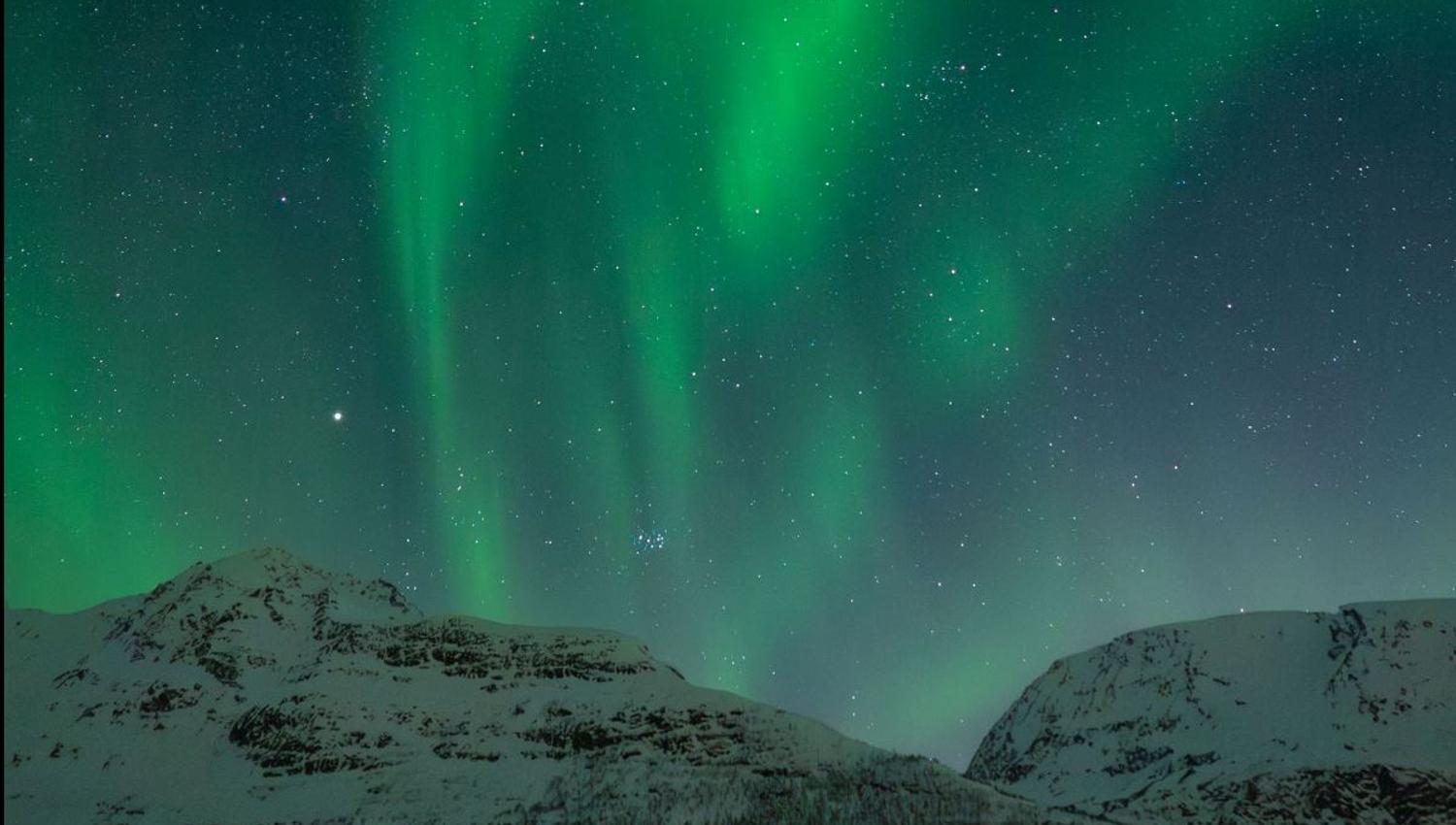 Green Northern Lights stretch across the night sky above snow-covered mountains in Northern Norway. A beautiful example of what guests may experience on a guided Northern Lights chase from Tromsø.