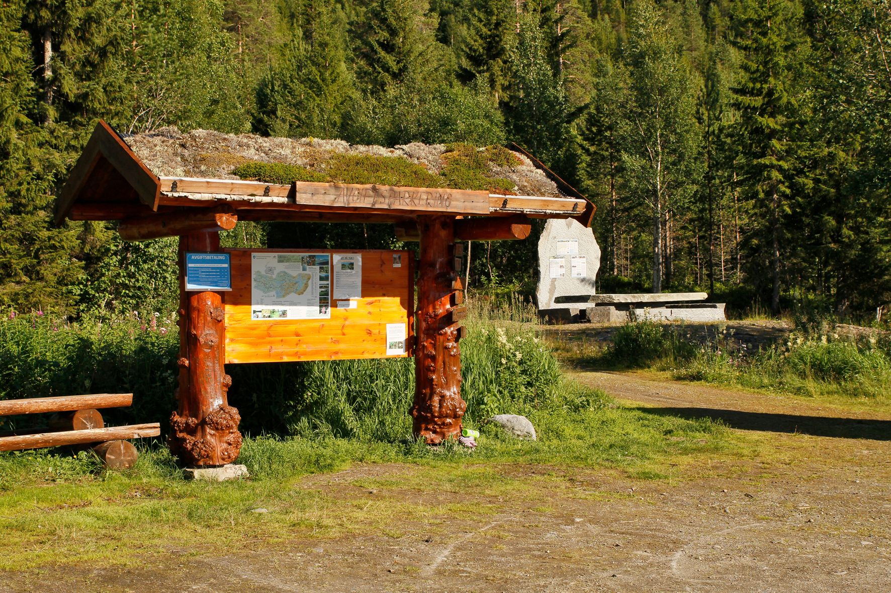 steinkjer steinkjer kommuneskoger vandring norges geografiske midtpunkt (7)